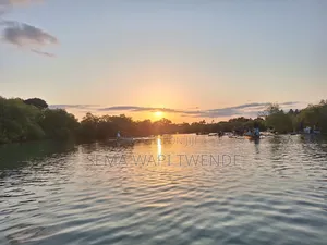 Kongo River Sunset