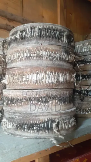 Church Drums