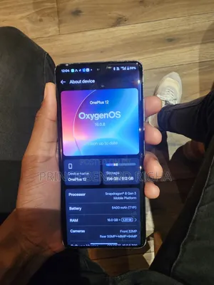OnePlus 12 512 GB Gray