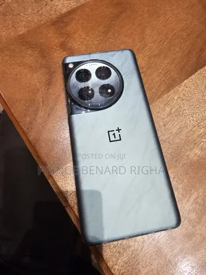 OnePlus 12 512 GB Gray