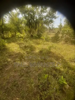 Ranching Land On Sale