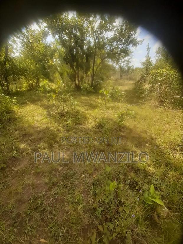 Ranching Land On Sale - thumbnail 2