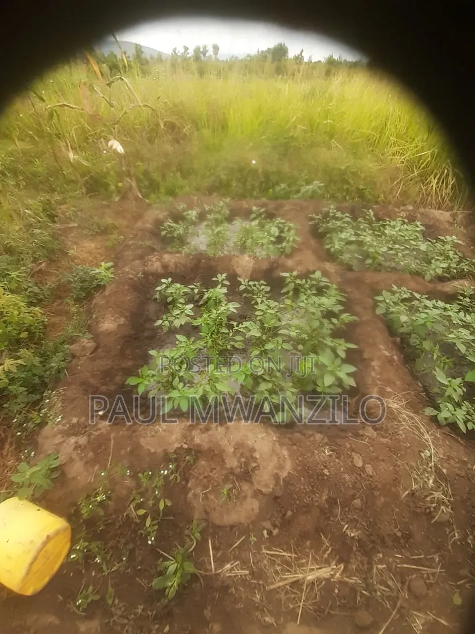 Ranching Land On Sale