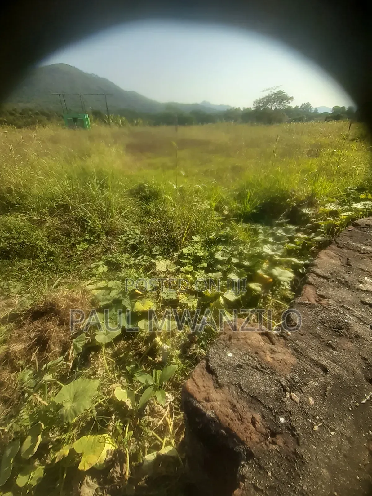 Ranching Land On Sale