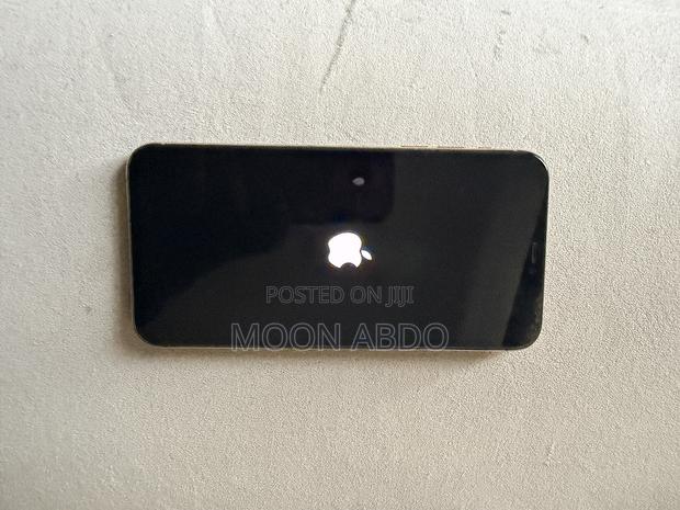 Apple iPhone 11 Pro Max 256 GB Gold - thumbnail 3