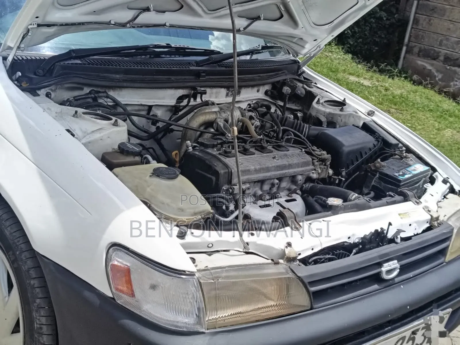 Toyota Corolla 1999 White