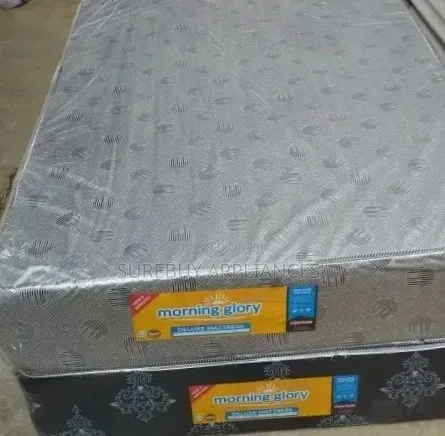 Morning Glory 4 By 6 10 Inch Plain Deluxe High Density Mattress