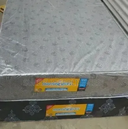 Morning Glory 4 By 6 10 Inch Plain Deluxe High Density Mattress