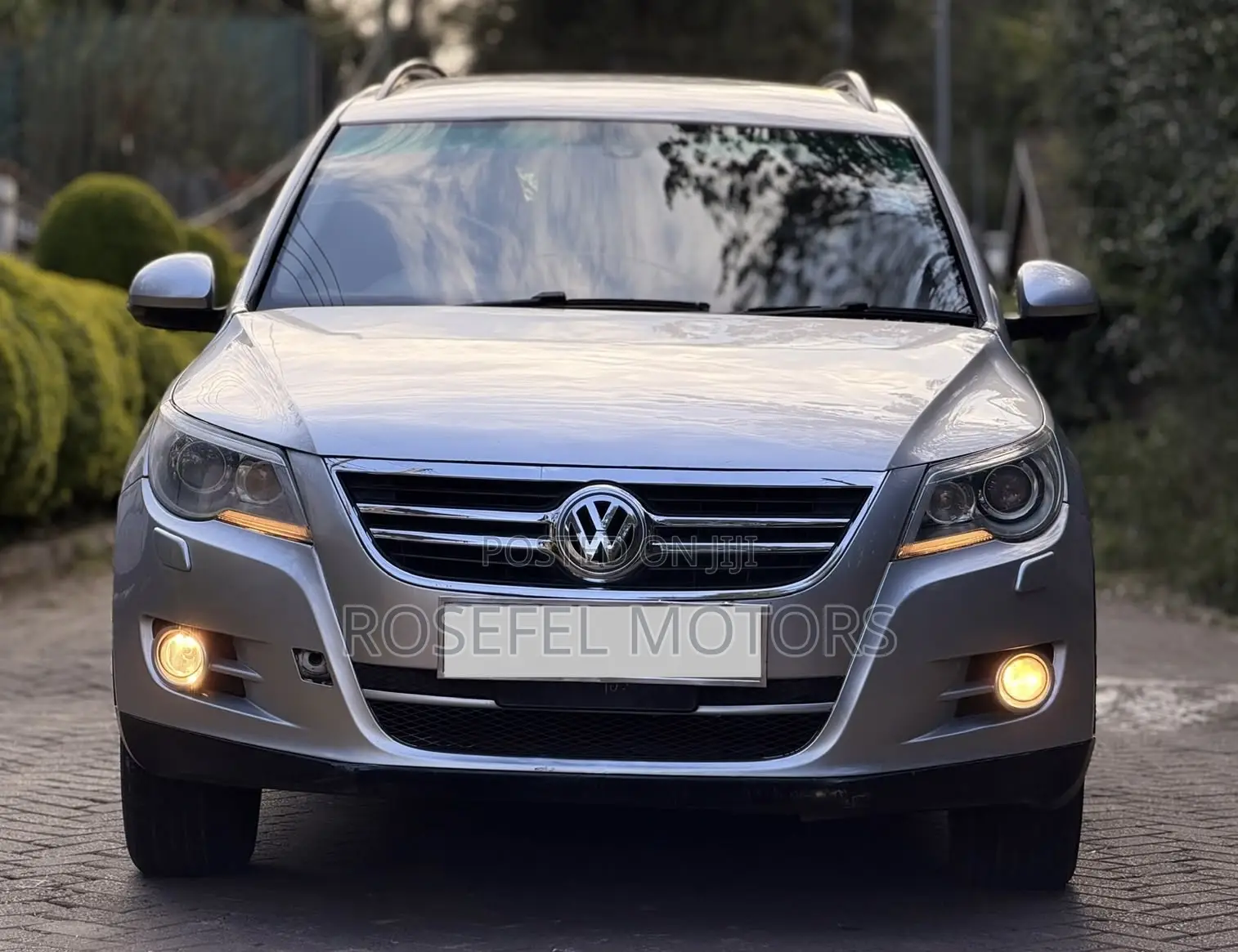 Volkswagen Tiguan 2.0 SE 2009 Silver