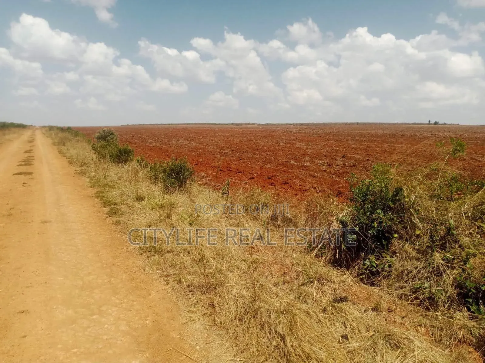 Sipilie, Malan 100 Acres Land