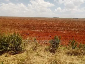 Sipilie, Malan 100 Acres Land