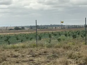 5 Acre Farm Land Isinya