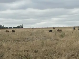 5 Acre Farm Land Isinya