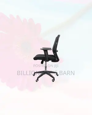Practical Barn Origin Chair Mid Back Nylon for Gaming and Desk Use