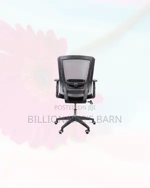 Practical Barn Origin Chair Mid Back Nylon for Gaming and Desk Use