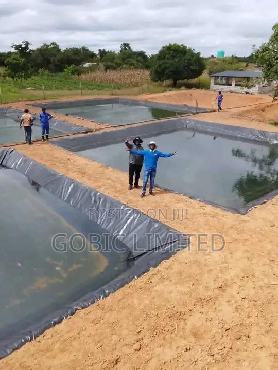 Modern Fish Pond Constructions - main view