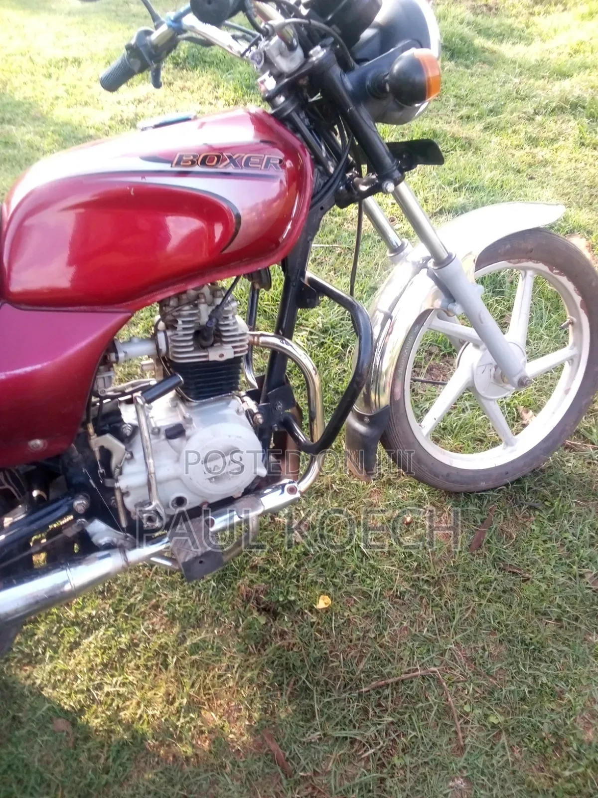 Bajaj Boxer 100 2024 Red