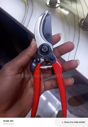Pruning Scissors