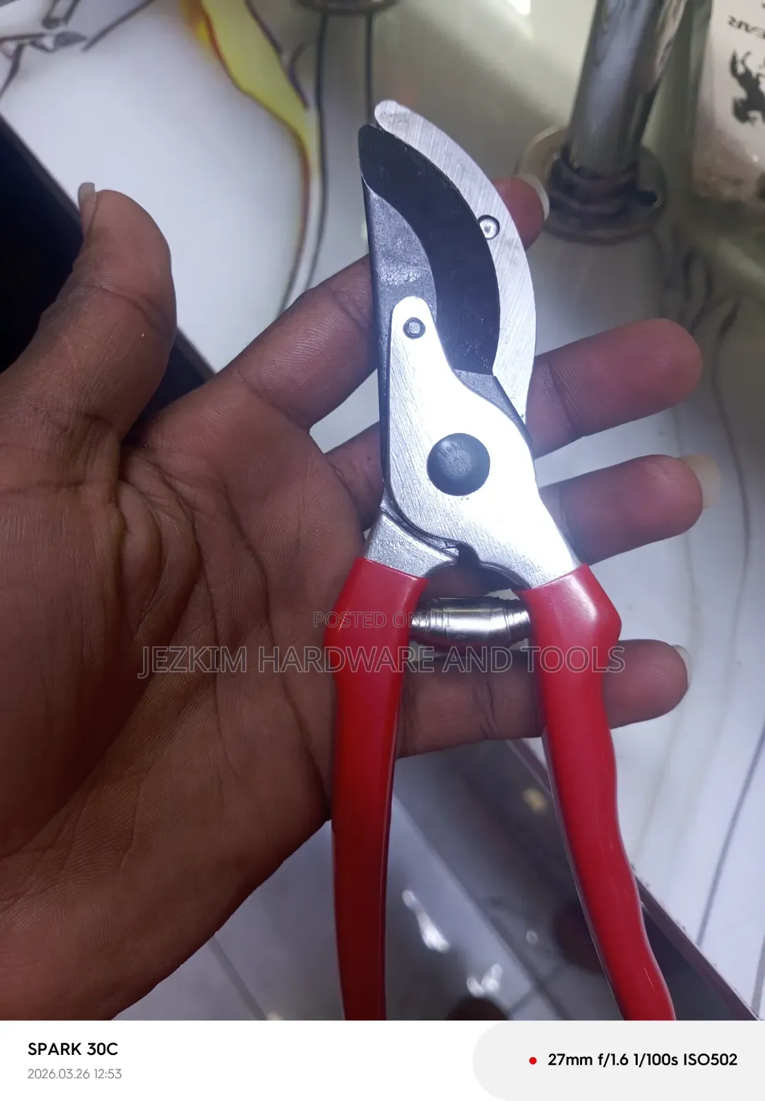 Pruning Scissors