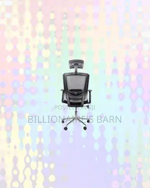 Black Mesh Office Chair With Headrest for Executive Office Style