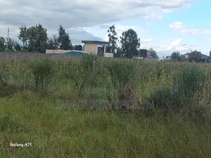 Plot for Sale in Ruai
