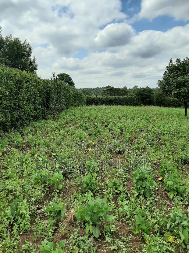 1/4 Acre Oluulua Ngong - thumbnail 2