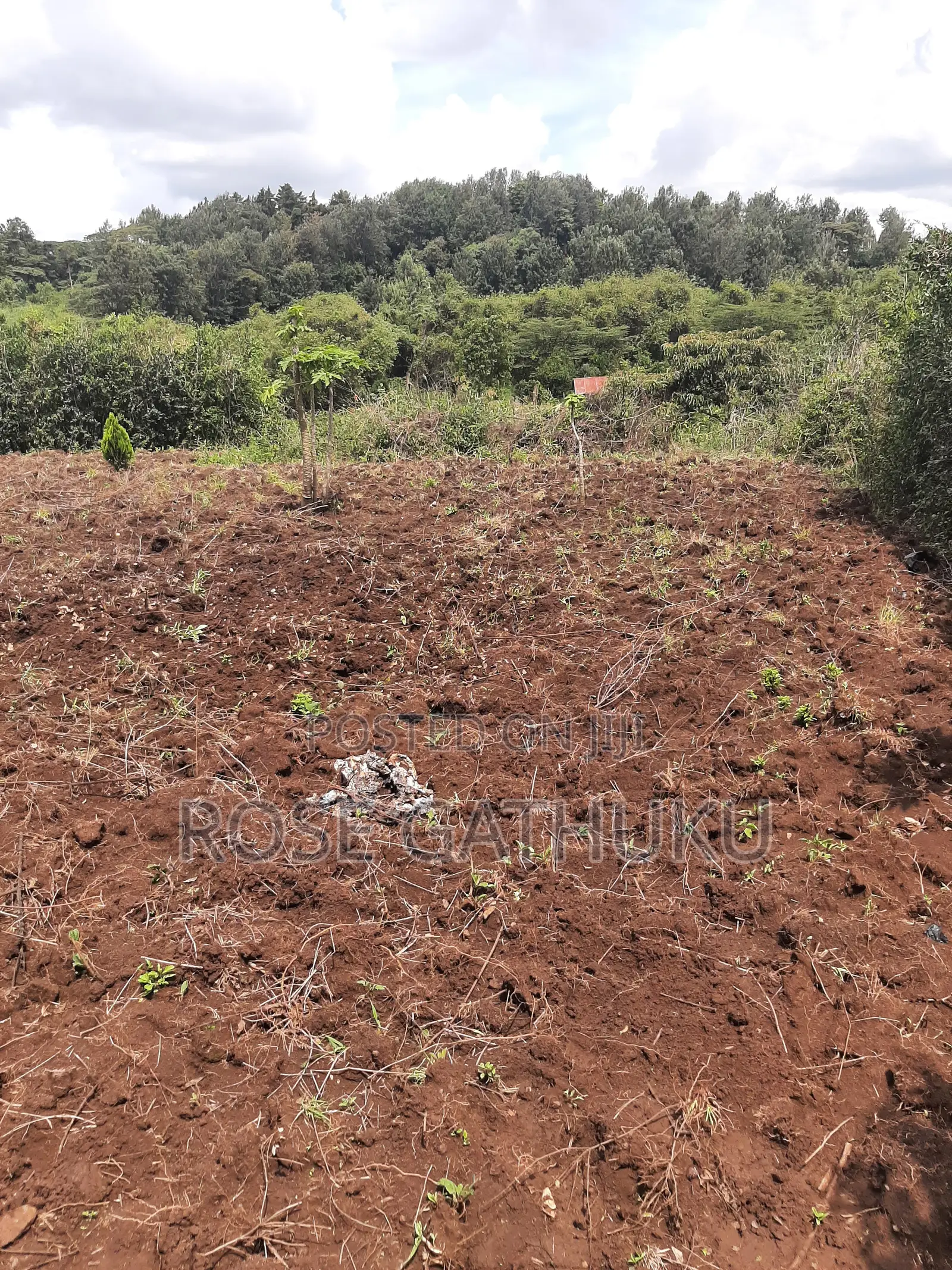 1/4 Acre Oluulua Ngong