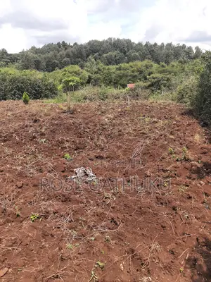 1/4 Acre Oluulua Ngong