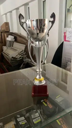 35cm Award Trophy – Best for School Corporate Awards 