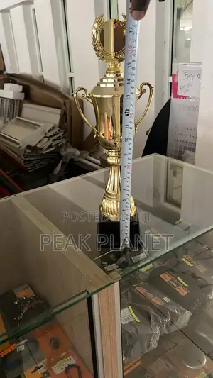Quality Trophy 35cm – Elegant Design for All Occasions 
