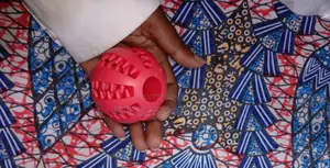 Dogs/Cats Interactive Iq Treat Ball