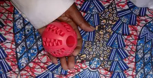 Dogs/Cats Interactive Iq Treat Ball