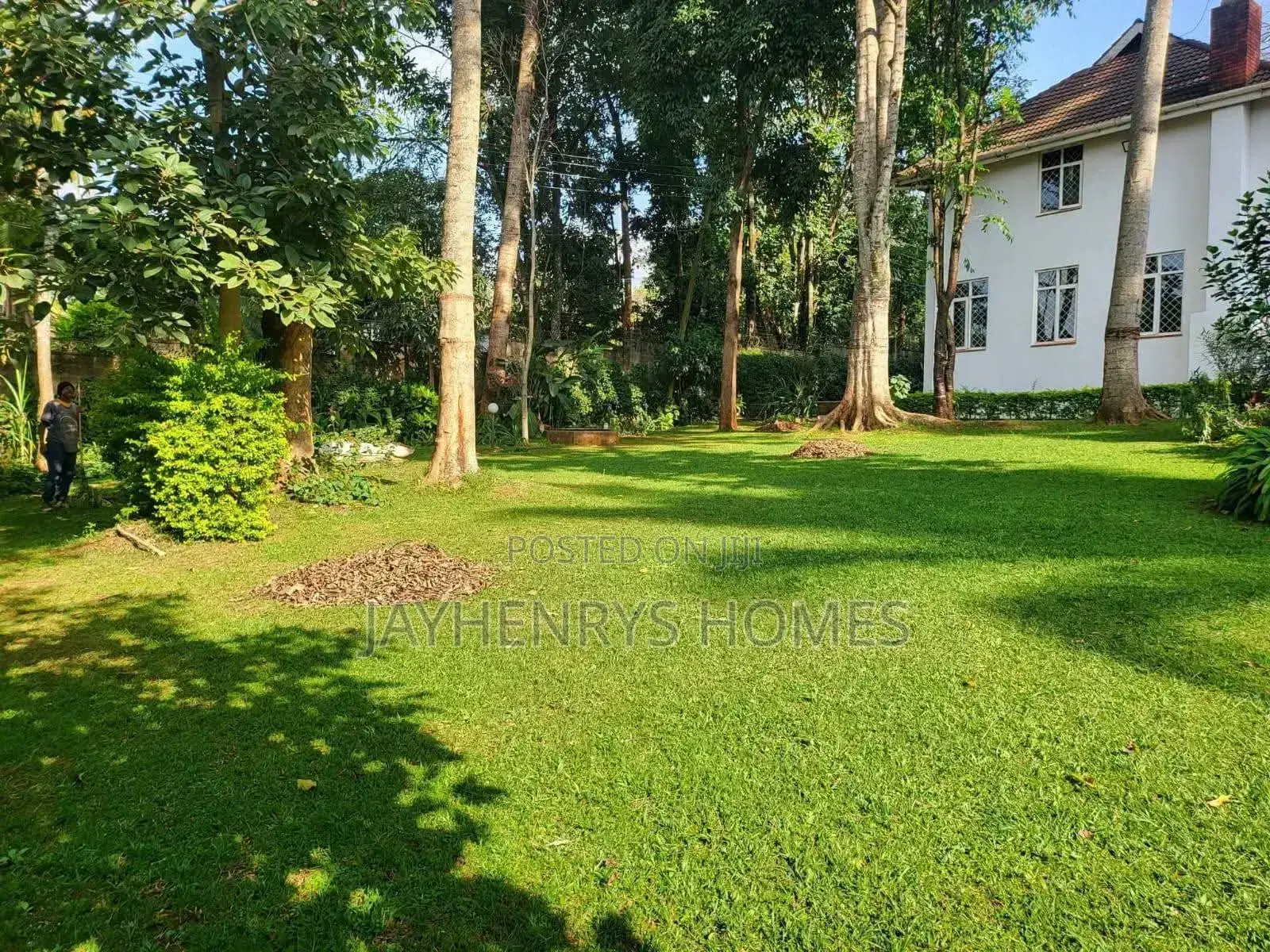 5bdrm House in Rosslyn for rent