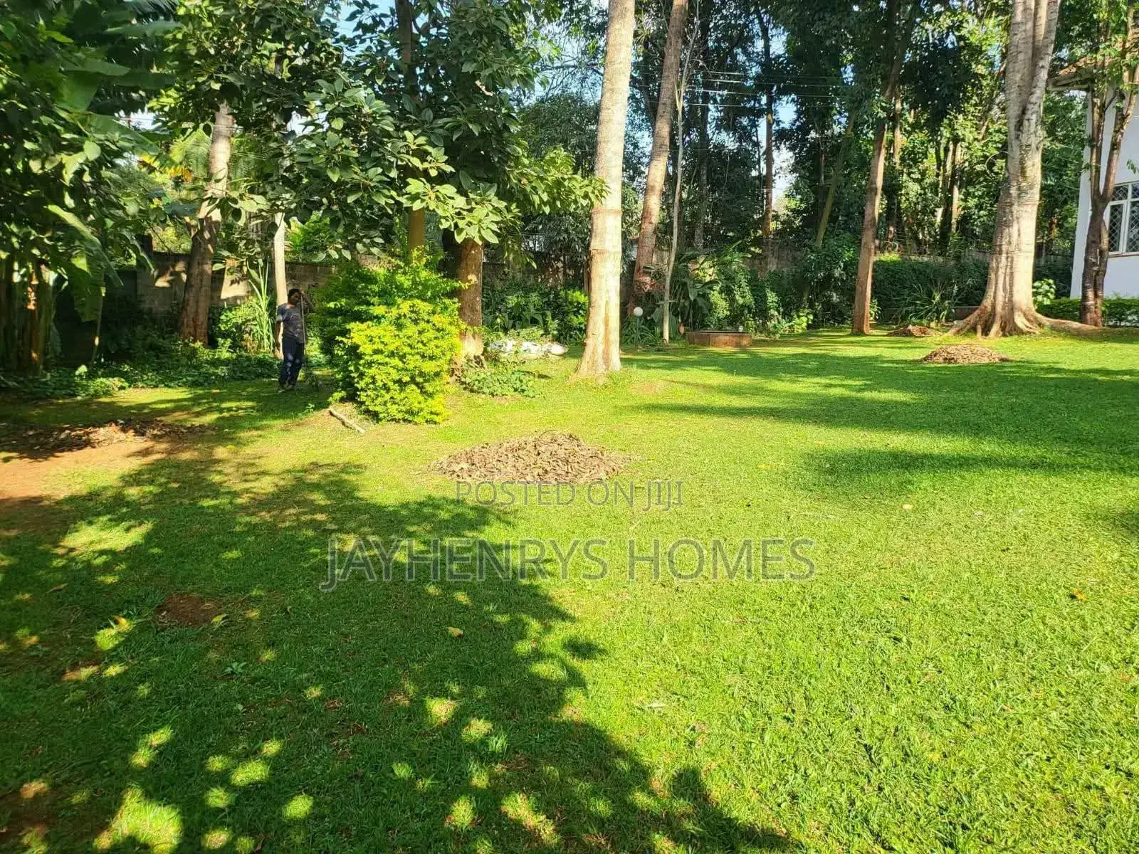 5bdrm House in Rosslyn for rent