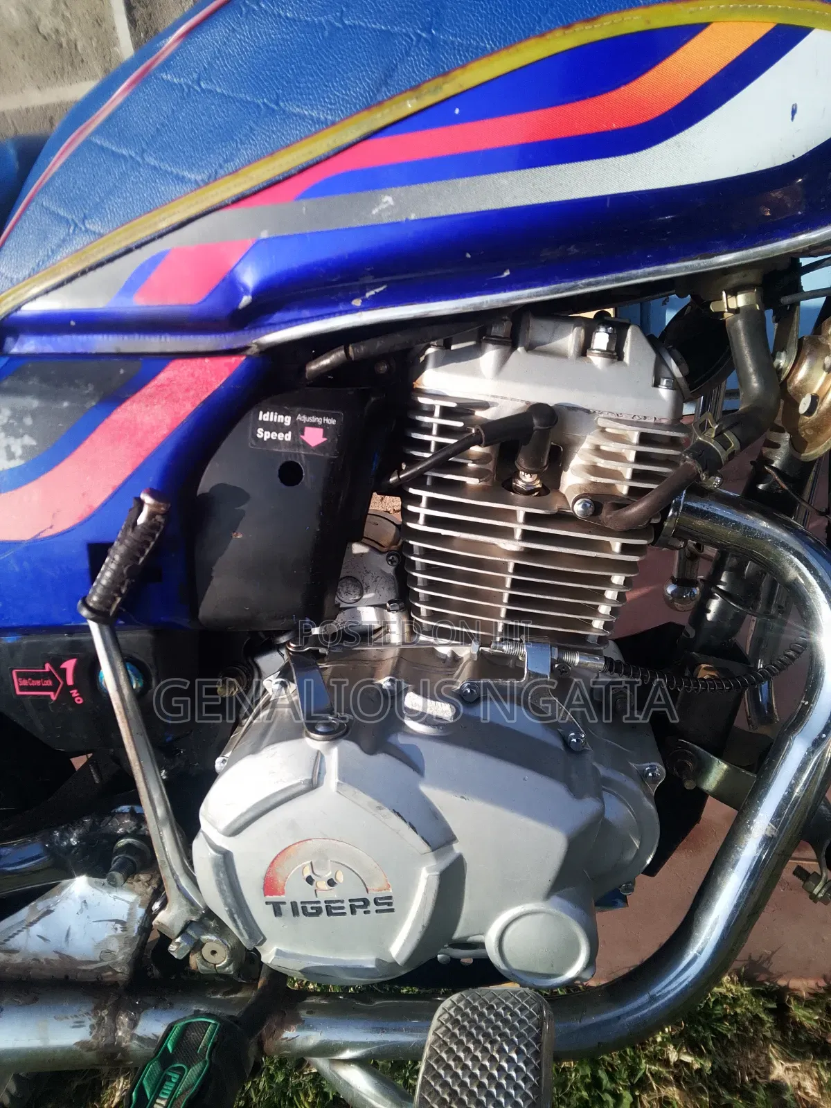 Captain CP175 2020 Blue