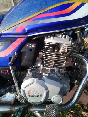 Captain CP175 2020 Blue