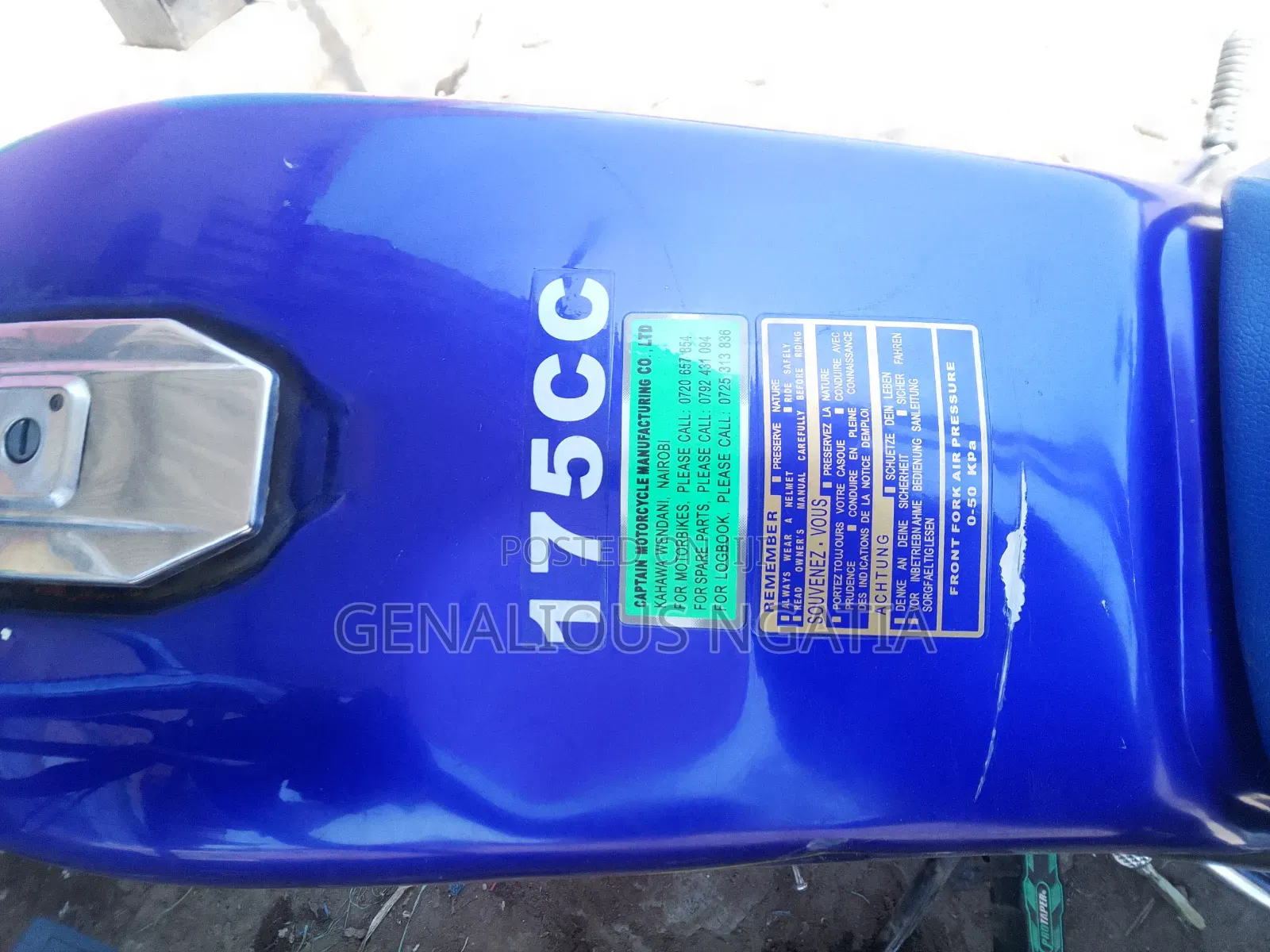 Captain CP175 2020 Blue