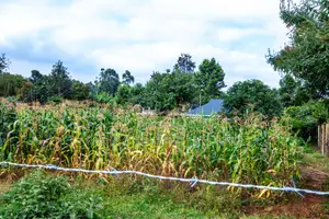Prime Commercial Serviced Plots For Sale In Kikuyu, Gikambura