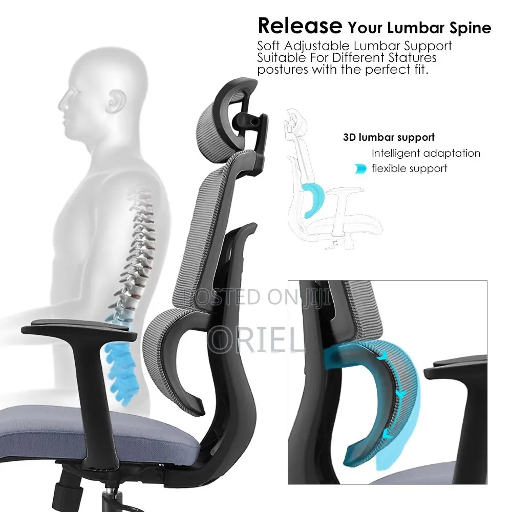 Office Chair : Orthopedic Office Chair With Breathable Mesh Backrest