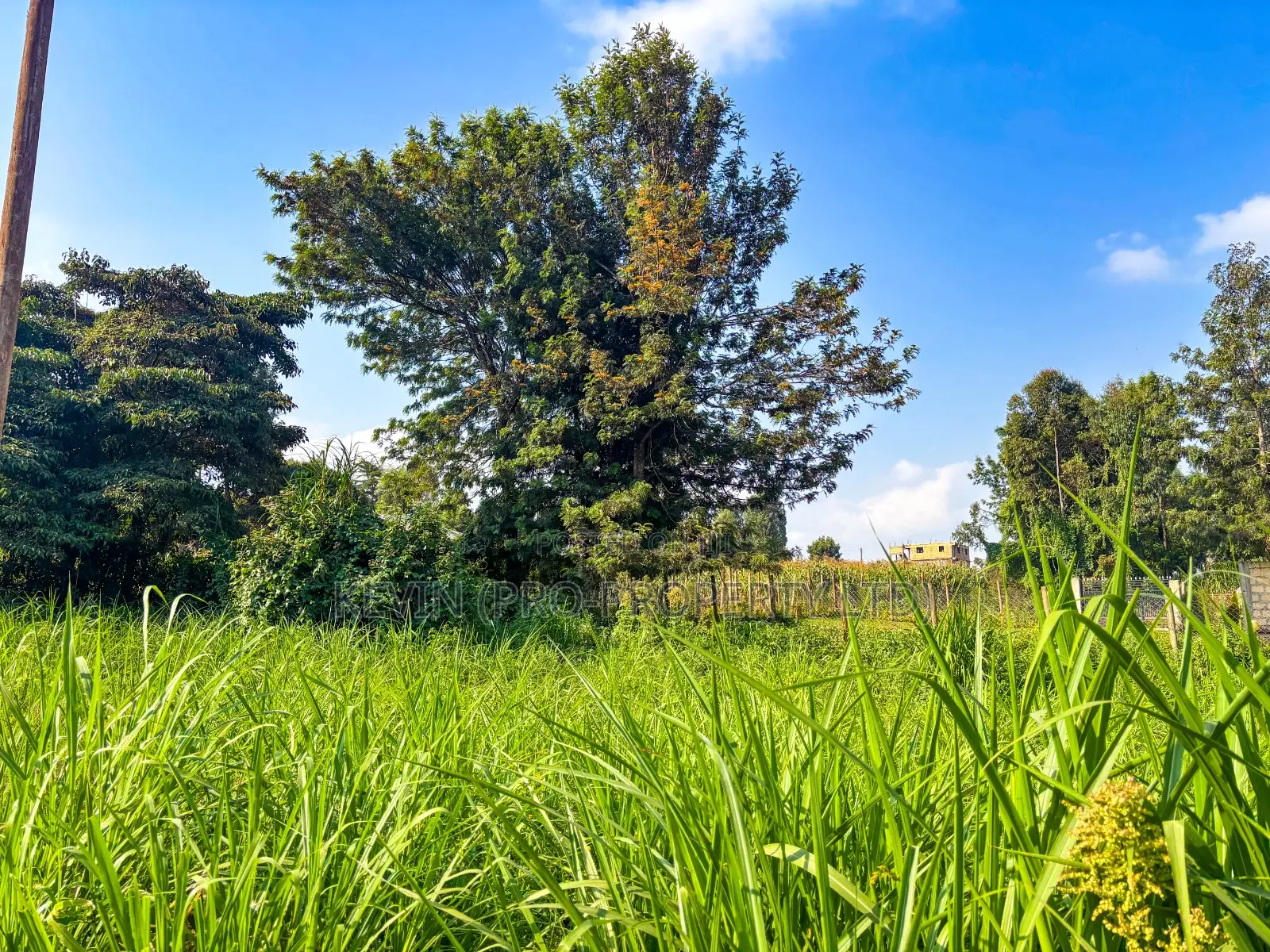Prime Residential Plot for Sale Kikuyu, Muguga Thamanda
