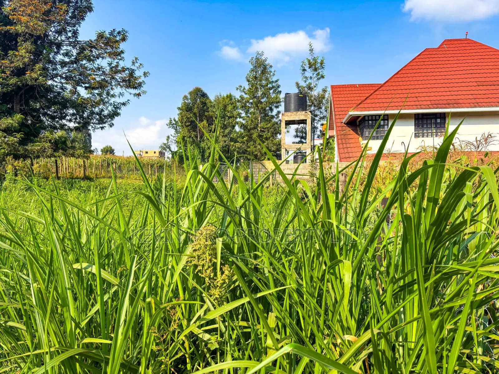 Prime Residential Plot for Sale Kikuyu, Muguga Thamanda