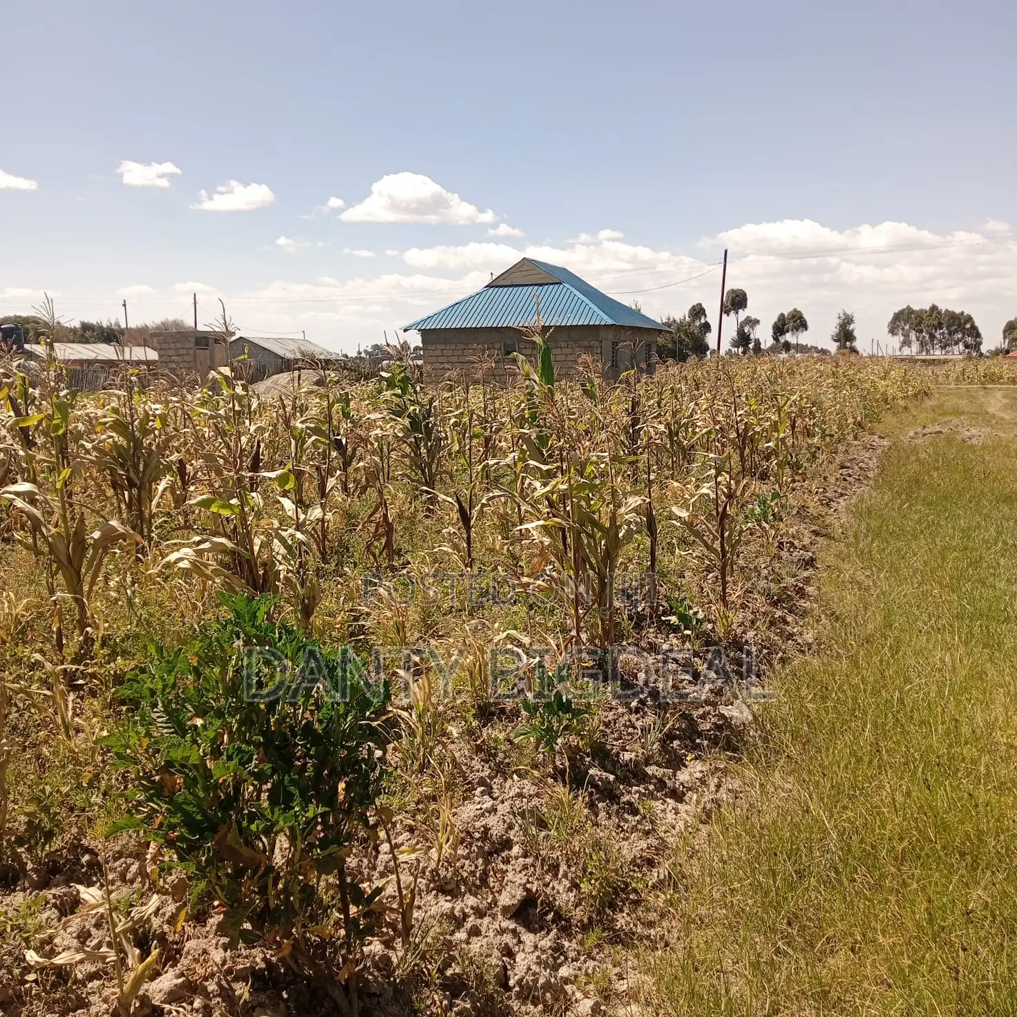 Land for Sale