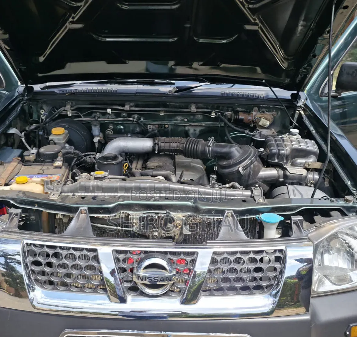 Nissan Hardbody 2007 Green