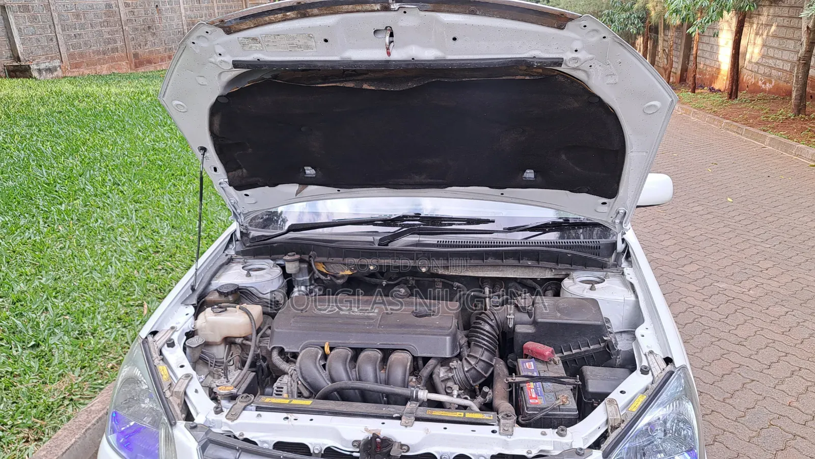 Toyota Premio 2006 White