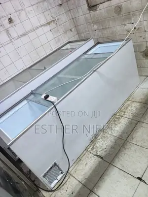 650litres Display Freezer on Sale