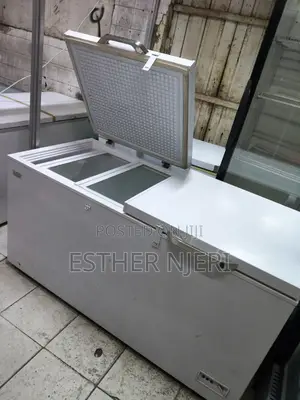 Original 600litres Ramtoms Freezer