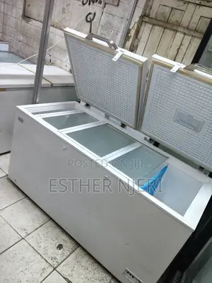 Original 600litres Ramtoms Freezer