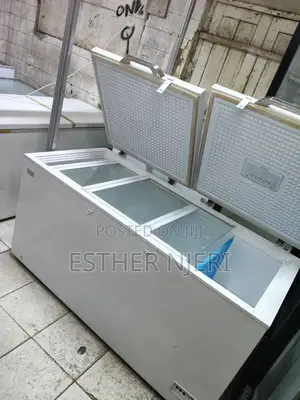 Original 600litres Ramtoms Freezer