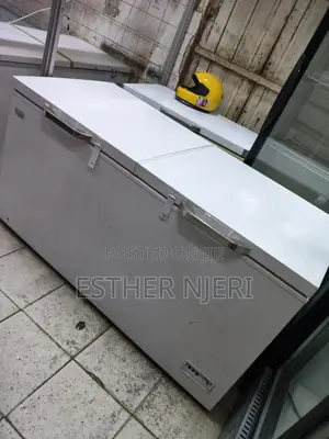 Original 600litres Ramtoms Freezer