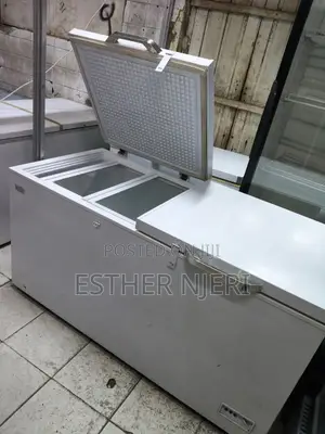 Original 600litres Ramtoms Freezer